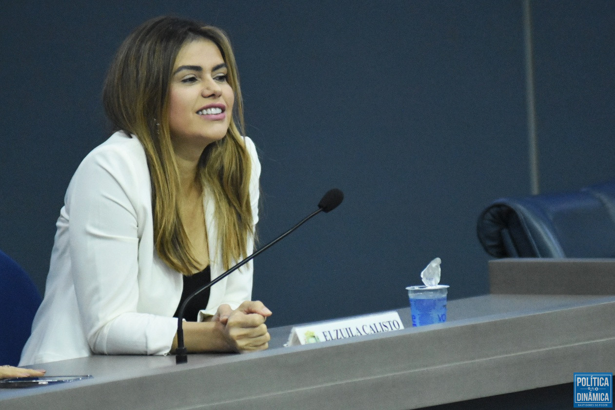 A vereadora Pollyana Rocha durante sessão na Câmara de Teresina (foto: Jailson Soares | PD)