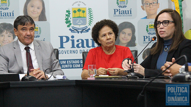 Viviane Moura se destacou na realização de PPPs dentro do Governo do Piauí sob a gestão do PT (foto: Jailson Soares/ PD)