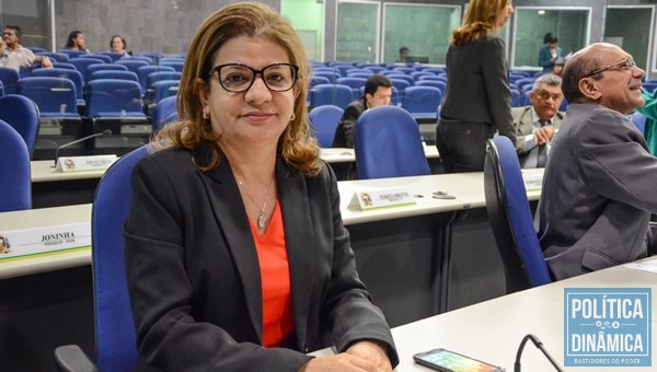 Vereadora cobra mais reuniões entre a bancada governista da Câmara Municipal de Teresina e Governador. (Foto: Política Dinâmica)