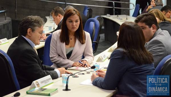 Em outubro os eleitores de Teresina irão as urnas escolher 29 vereadores (Foto: Jailson Soares/PoliticaDinamica)