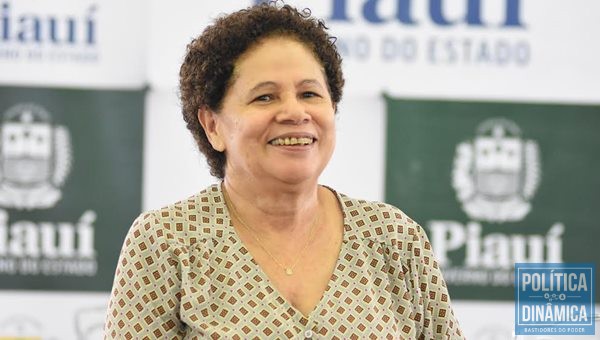 Senadora trabalha para eleger aliados na direção estadual e no diretório de Teresina (Foto:Jailson Soares/PoliticaDinamica.com)