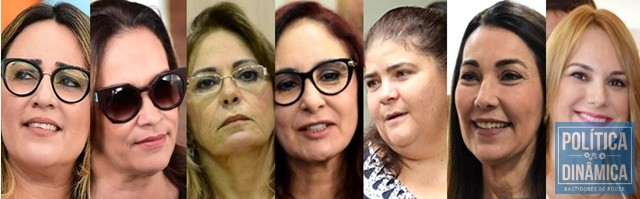 Em 2010, a maior bancada feminina foi eleita no Piauí (Fotos: PoliticaDinamica.com)