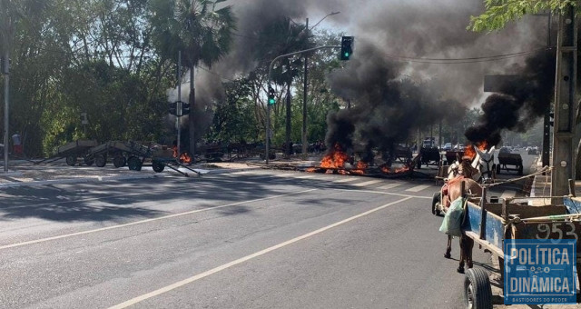 Carroceiros interditaram avenida Marechal Castelo Branco, em frente à Câmara, durante protesto. (foto: redes sociais)