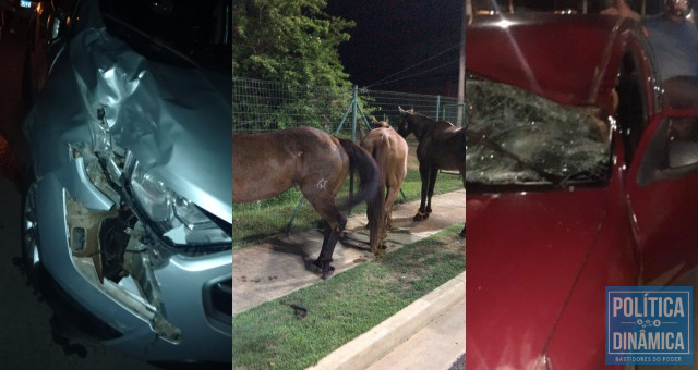 Após queima irregular de fogos durante show de Anderson Rodrigues, cavalos fugiram do parque de exposições onde acontecia a EXPOAPI e provocaram acidentes na BR-343 (foto: redes sociais)