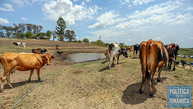 No Rio Grande do Sul, mais de 300 municípios já declaram emergência por conta da falta de chuvas (foto: ascom)