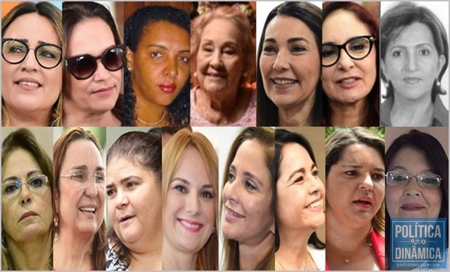 As 15 mulheres que se elegeram para a Alepi (Foto: Montagem/PoliticaDinamica.com)