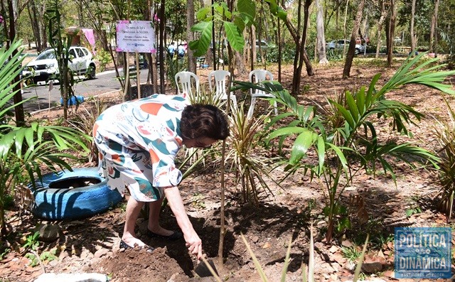 Dona Myriam plantou árvore no Parque da Cidade (Foto: Jailson Soares/PoliticaDinamica)