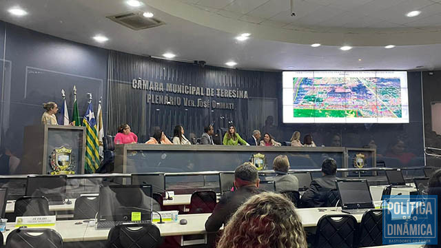 Delegada Eugênia Villa chama atenção para os dados e indicadores de violência contra mulher em Teresina (foto: Jailson Soares/ PD)