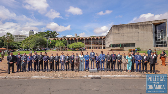 Foto dos 30 Deputados ladeados em frente a Alepi marca início do novo ano legislativo (foto: Alepi)