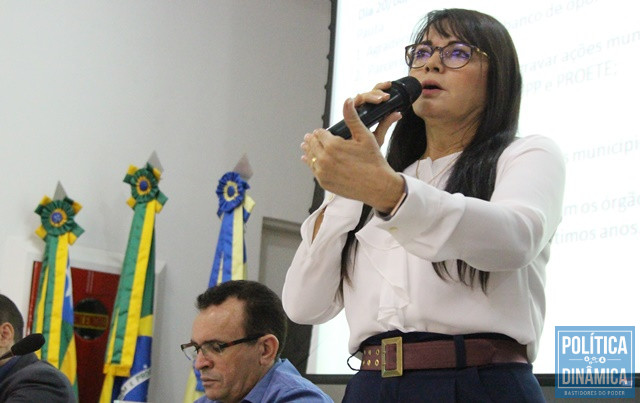 Deputada quer detalhes sobre transferências (Foto: Jailson Soares/PoliticaDinamica.com)