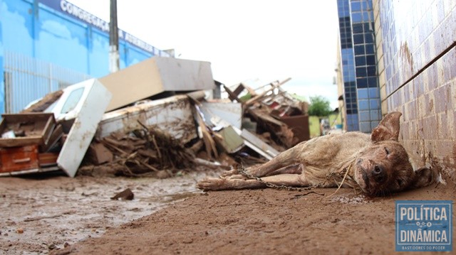 Rastro de destruição e mortes no local (Foto: Jailson Soares/PoliticaDinamica.com)