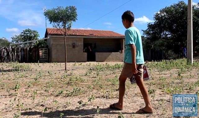 No sertão do Piauí, alunos são prejudicados pela falta de transporte escolar e ficam impedidos de frequentar a escola (Foto: Gustavo Almeida/PoliticaDinamica.com)